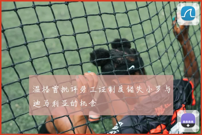 温格曾批评劳工证制度错失小罗与迪马利亚的机会