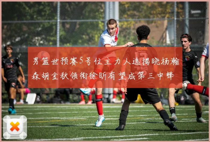 男篮世预赛5号位主力人选揭晓杨瀚森胡金秋领衔徐昕有望成第三中锋